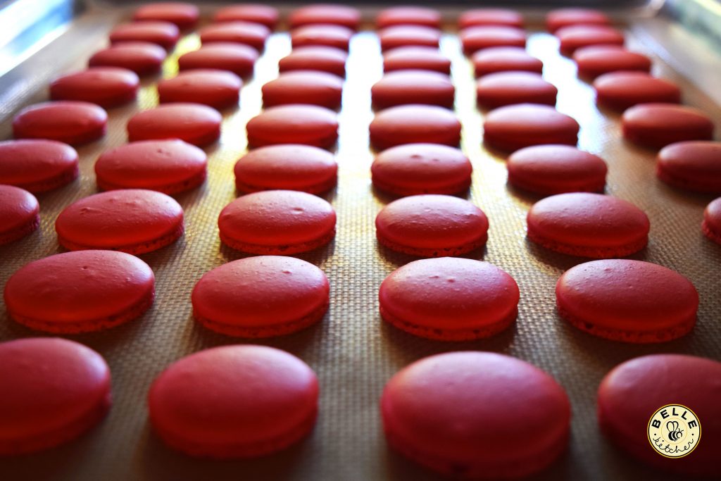 Best Christmas Macarons Oklahoma
